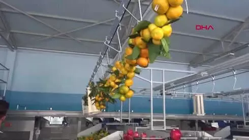 Aydın Hibe Desteği Alarak Paketleme Tesisi Kuran Ev Kadını Patron Oldu