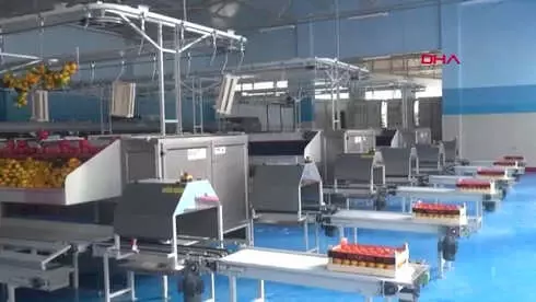 Aydın Hibe Desteği Alarak Paketleme Tesisi Kuran Ev Kadını Patron Oldu