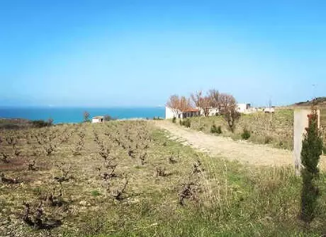 Bozcaada'nın Bağ Evlerine Pansiyon Ruhsatı Verilmesine Tepki