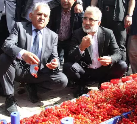 Kayseri'de 'Gilaburu ve Ceviz Festivali'