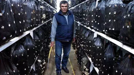Mantardan İstediği Verimi Aldı, İşleri Genişletti