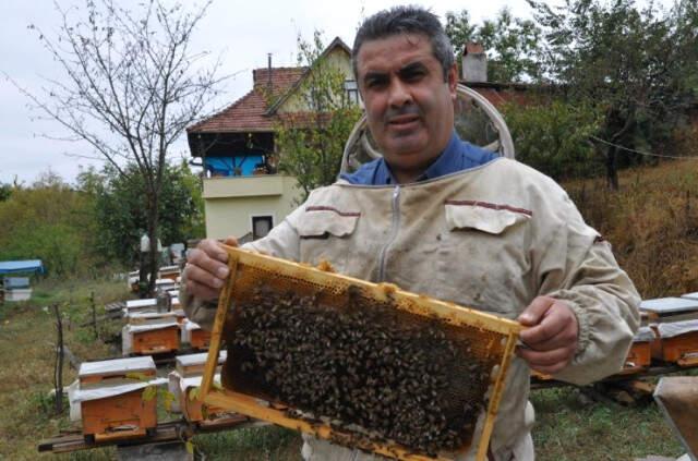 Türkiye'de Prolin Değeri En Yüksek Olan Erbaa Süzme Balının Kilosu 125 TL'ye Satışa Sunuldu