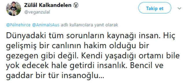 Canlı Hayvan Taşımacılığındaki Görüntüler, Sosyal Medyada Büyük Tepki Topladı