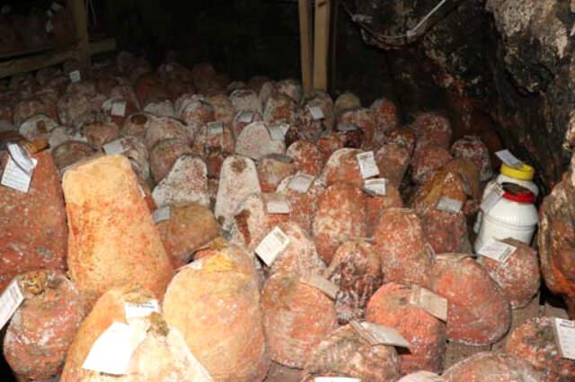 Dünyada Sadece 45 Ton Olan Divle Obruk Peyniri'nin Kalite Standardı Tescillendi