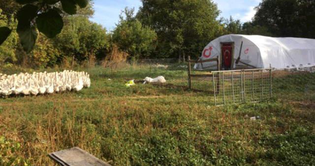 Kurduğu kaz çiftliğiyle paraya para demiyor