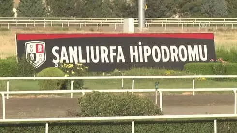 Şanlıurfa'da Yarış Atı Ölümleri Şanlıurfa'da Yarış Atı Ölümleri