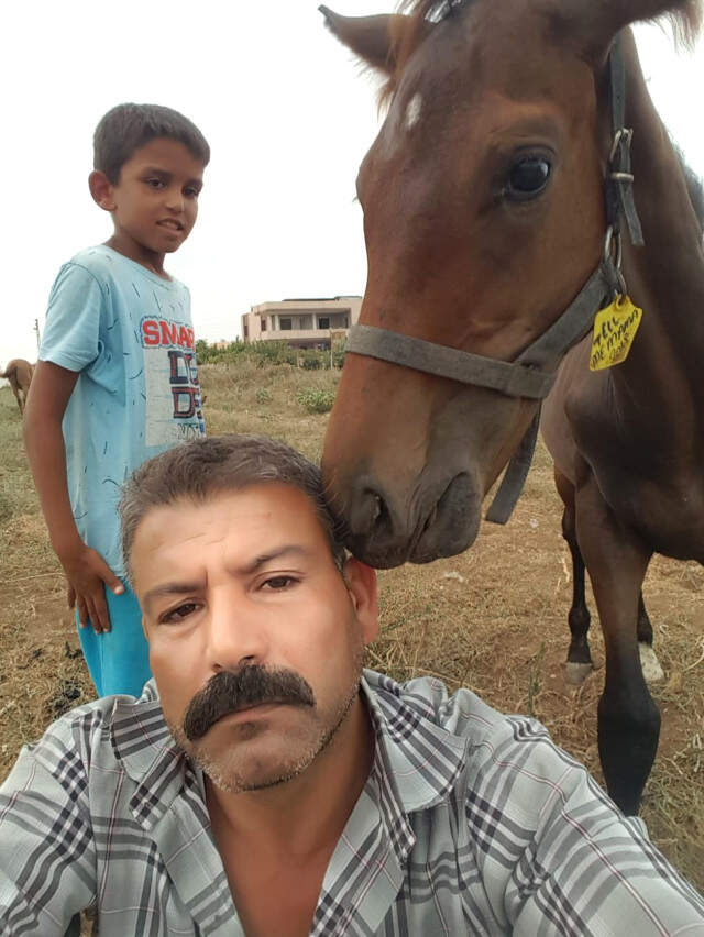400 Bin TL Değerindeki İngiliz Yarış Atını Yavrusuyla Birlikte Çaldılar