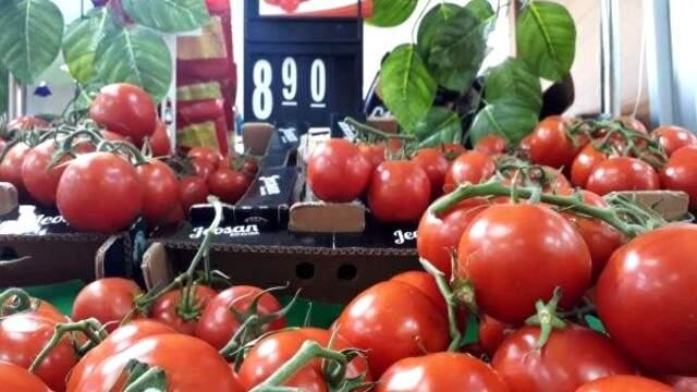 Mersin 'Sofranın Kralı' Domates Tarlada 3, İstanbul'da 8 Lira