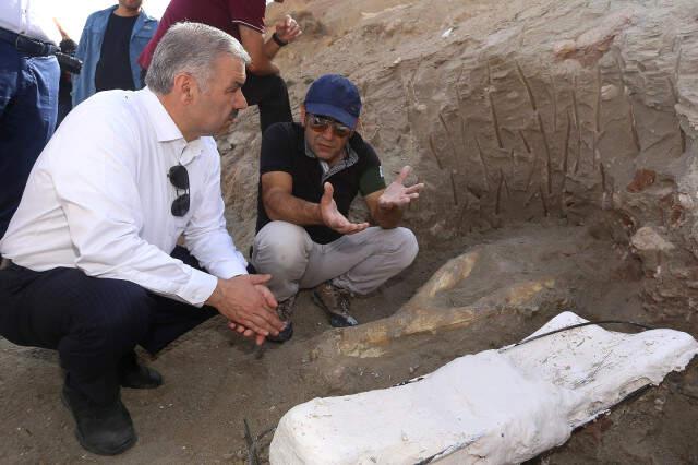 Kayseri'de 2 Metre 40 Santim Uzunluğunda Fil Kafası Bulundu