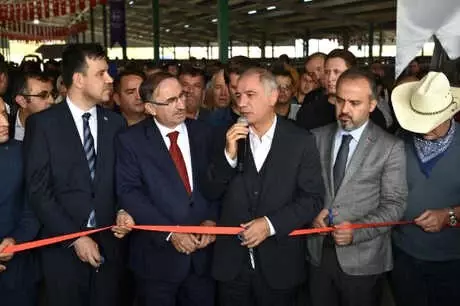 Güney Marmara'nın En Büyük Canlı Hayvan Pazarı Açıldı Güney Marmara'nın En Büyük Canlı Hayvan Pazarı Açıldı