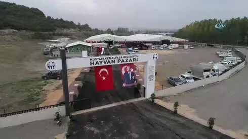 Güney Marmara'nın En Büyük Canlı Hayvan Pazarı Mustafakemalpaşa'da Açıldı Güney Marmara'nın En Büyük Canlı Hayvan Pazarı Mustafakemalpaşa'da Açıldı
