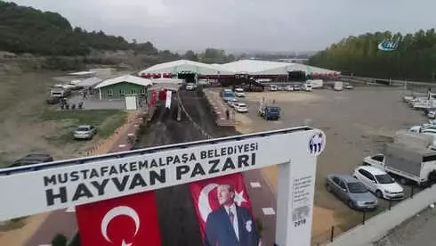 Güney Marmara'nın En Büyük Canlı Hayvan Pazarı Mustafakemalpaşa'da Açıldı Güney Marmara'nın En Büyük Canlı Hayvan Pazarı Mustafakemalpaşa'da Açıldı