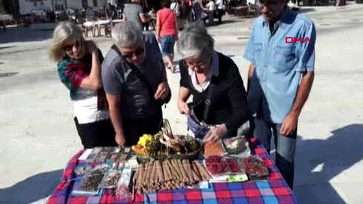 Muğla Datça'da Yerel Tohum Şenliği Başladı