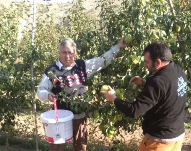 Amatör Ruhla Başladı, Tarımda Profesyonel Oldu