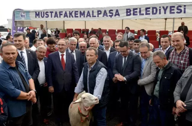 Hayvanlar En Güzel Olmak İçin Yarıştı Hayvanlar En Güzel Olmak İçin Yarıştı