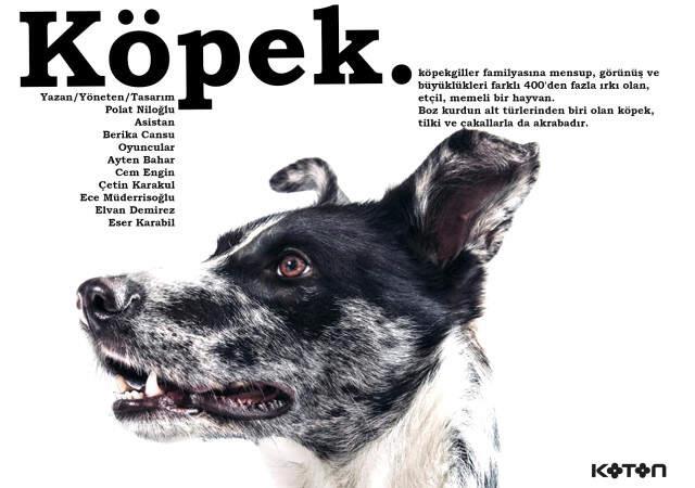 Asmalı Sahne'nin Yeni Oyunu 'Köpek' İzleyicisiyle Buluşuyor