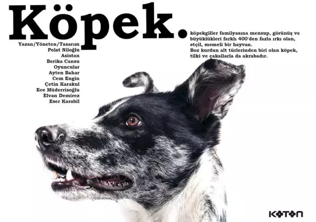 Asmalı Sahne'nin Yeni Oyunu 'Köpek' İzleyicisiyle Buluşuyor Asmalı Sahne'nin Yeni Oyunu 'Köpek' İzleyicisiyle Buluşuyor