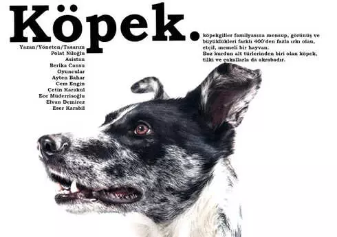 Asmalı Sahne'nin Yeni Oyunu 'Köpek' İzleyicisiyle Buluşuyor Asmalı Sahne'nin Yeni Oyunu 'Köpek' İzleyicisiyle Buluşuyor