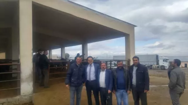Bulanık'ta Hayvan Dağıtımı
