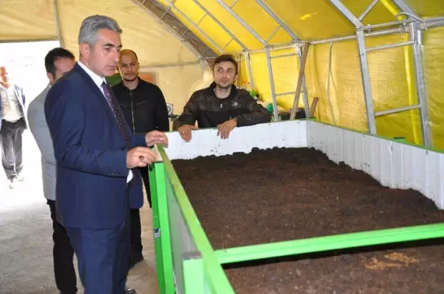 Gümüşhane'de Solucan Gübresi Üretimi Başladı Gümüşhane'de Solucan Gübresi Üretimi Başladı