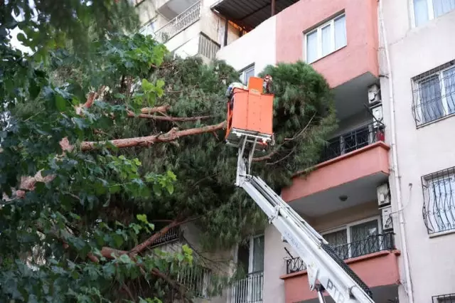 Aydın'da Fırtına Hayatı Olumsuz Etkiledi