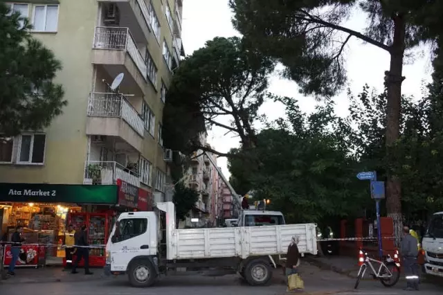Aydın'da Fırtına Hayatı Olumsuz Etkiledi