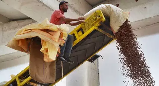 Fındık Haberi Sevinçle Karşılandı