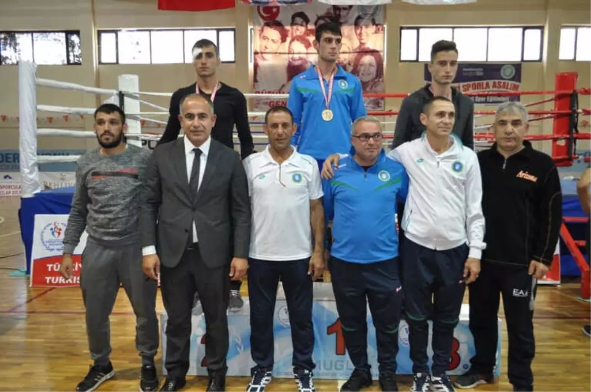 Boksörler Datça'da Buluştu