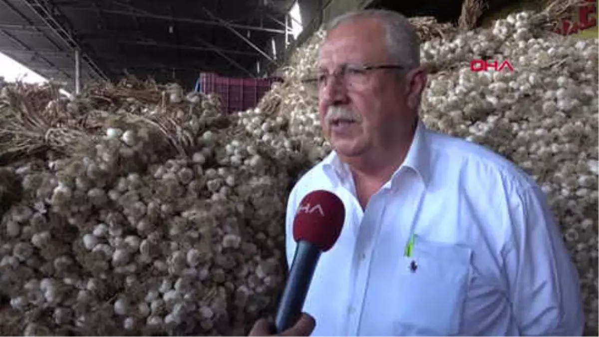 Adana Talep Görmeyen Sarımsaklar Çöpe Gidiyor