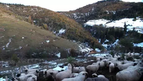 Yaylalarda Kartpostallık Sonbahar ve Kar Manzaraları Yaylalarda Kartpostallık Sonbahar ve Kar Manzaraları