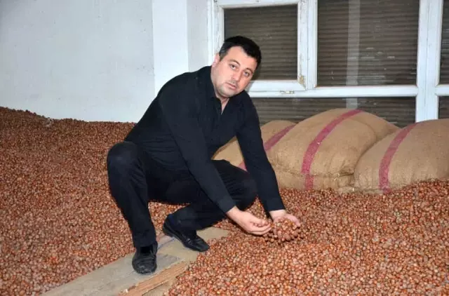 Serbest Piyasada Fındık Yükselişe Geçti