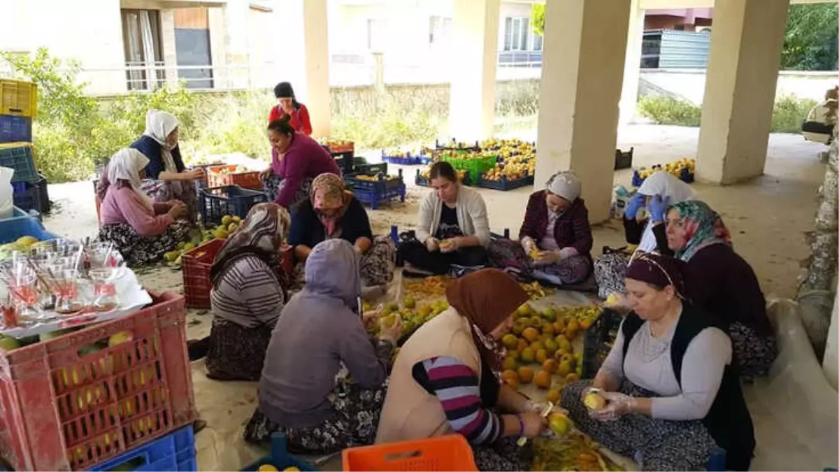 Kısır Gününde Ortaya Çıkan Fikir Mahallenin Kadınlarını İş Sahibi Yaptı