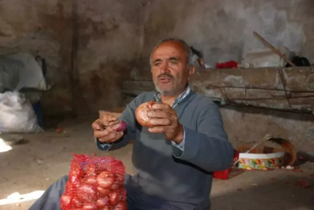Soğan Depolarda Çürümeye Başladı, Fiyat Artışı Bekleniyor Soğan Depolarda Çürümeye Başladı, Fiyat Artışı Bekleniyor
