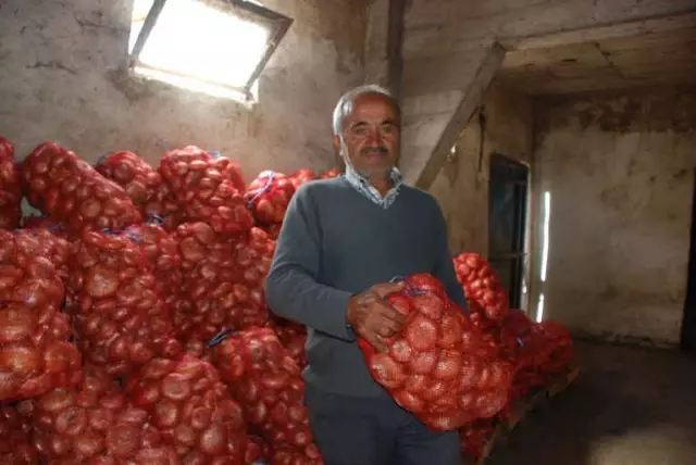 Soğan Depolarda Çürümeye Başladı, Fiyat Artışı Bekleniyor Soğan Depolarda Çürümeye Başladı, Fiyat Artışı Bekleniyor