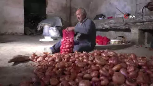 Soğan Depolarda Çürümeye Başladı, Fiyat Artışı Bekleniyor Soğan Depolarda Çürümeye Başladı, Fiyat Artışı Bekleniyor