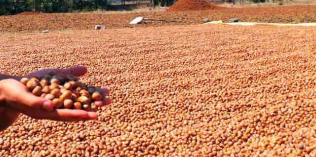 Doğu Karadeniz'den 124 Ülkeye İhracat