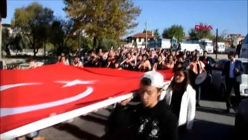 Muğla Milas'ta Zeytin Hasat Şenliği Muğla Milas'ta Zeytin Hasat Şenliği