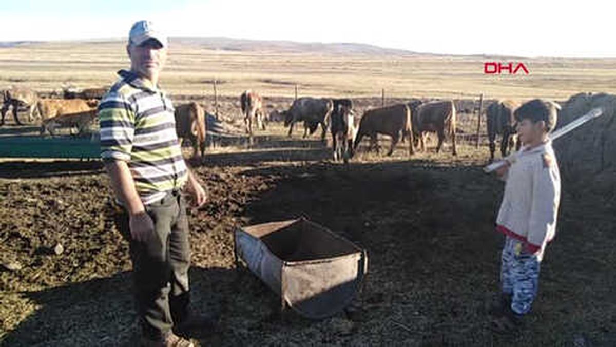 Kars Hayvanları Çalmak İçin Köpekleri Elektroşokla Uyutup, Otları Yaktılar