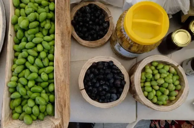 Kuşadası Zeytin Festivali Devam Ediyor Kuşadası Zeytin Festivali Devam Ediyor