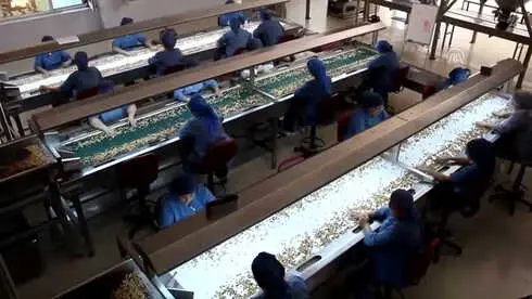 Giresun Tombul Fındığına Coğrafi İşaret İçin AB Komisyonuna Başvuruldu Giresun Tombul Fındığına Coğrafi İşaret İçin AB Komisyonuna Başvuruldu
