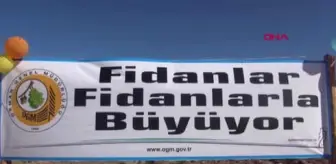 Burdur Haberleri: Barınağa konulan köpek çalındı 26