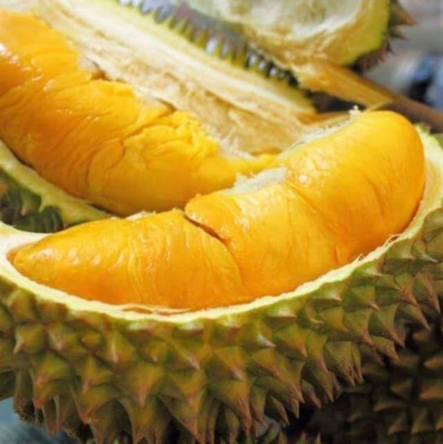 Kötü Kokusuyla Bilinen Durian Meyvesi, Uçağa Rötar Yaptırdı