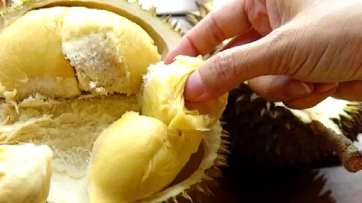 durian meyvesi ile ilgili gÃ¶rsel sonucu