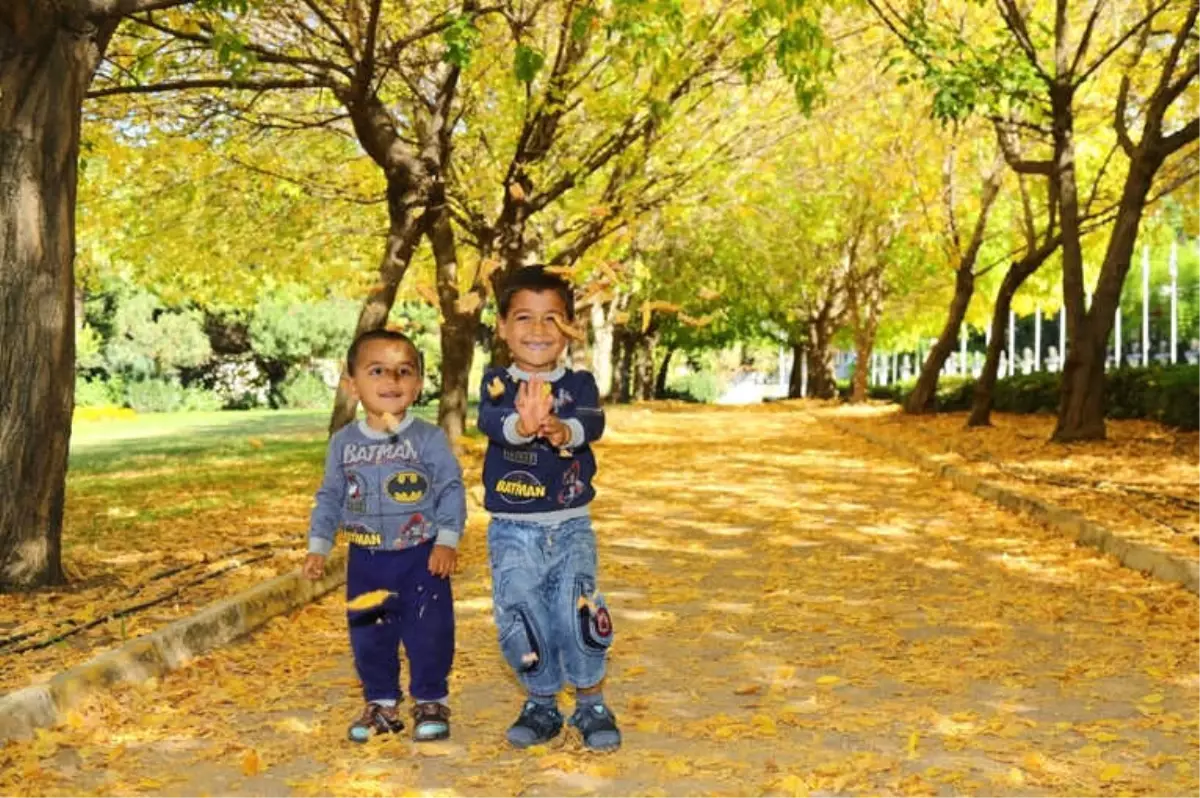 Manavgat'ta Sonbahar Bahçesi