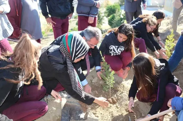 Tosya'da Öğrenciler Fidan Dikti Tosya'da Öğrenciler Fidan Dikti