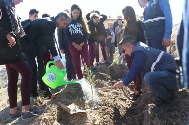 Tosya'da Öğrenciler Fidan Dikti Tosya'da Öğrenciler Fidan Dikti