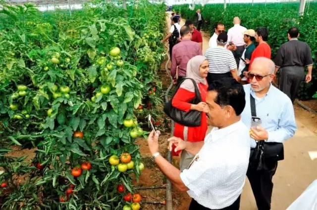 Uluslararası Yaş Sebze ve Meyve İhracatçıları Zirvesi Serik'te Başlıyor