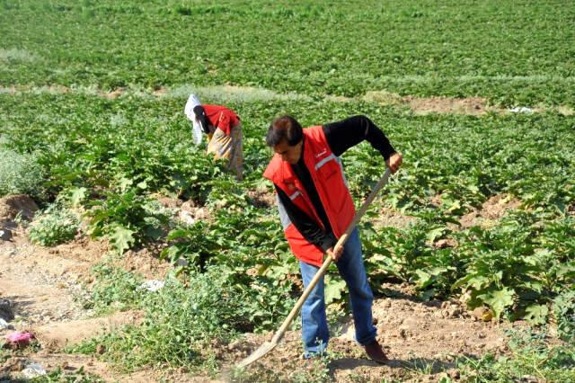 Kayyum Belediyenin Hazırladığı Proje ile 70 Aile 5 Ayda 3 Milyon 200 TL Gelir Elde Etti