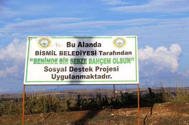 Kayyum Belediyenin Hazırladığı Proje ile 70 Aile 5 Ayda 3 Milyon 200 TL Gelir Elde Etti