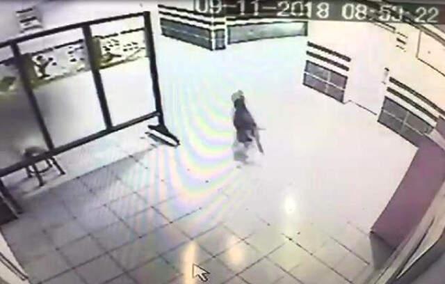 Okula Giren Pitbull Cinsi Köpek, Polis Tarafından Vuruldu